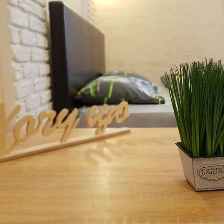 New Luxury Studio Apartment Iwano-Frankiwsk Exterior foto